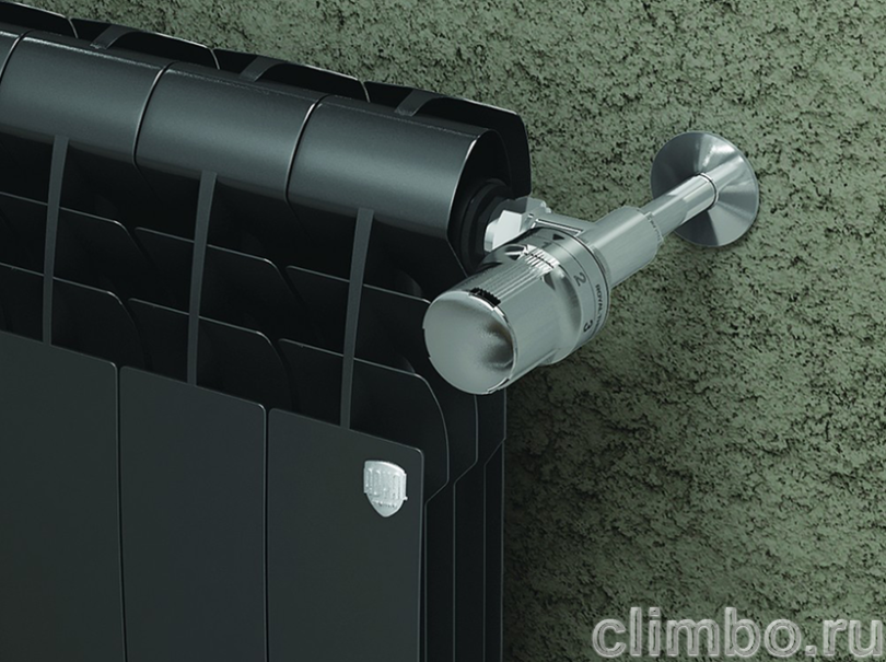 Радиатор Royal Thermo BiLiner 500 Noir Sable - 10 секц. — фото товара