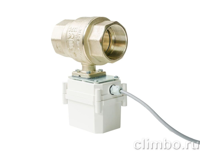 Кран с электроприводом PROFESSIONAL 12V ENOLGAS 2” — фото товара