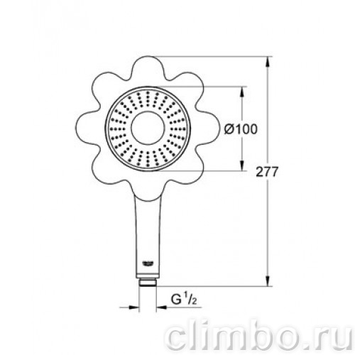 Ручной душ GROHE Rainshower Icon 100 (1 режим), 26115DP0 — фото товара