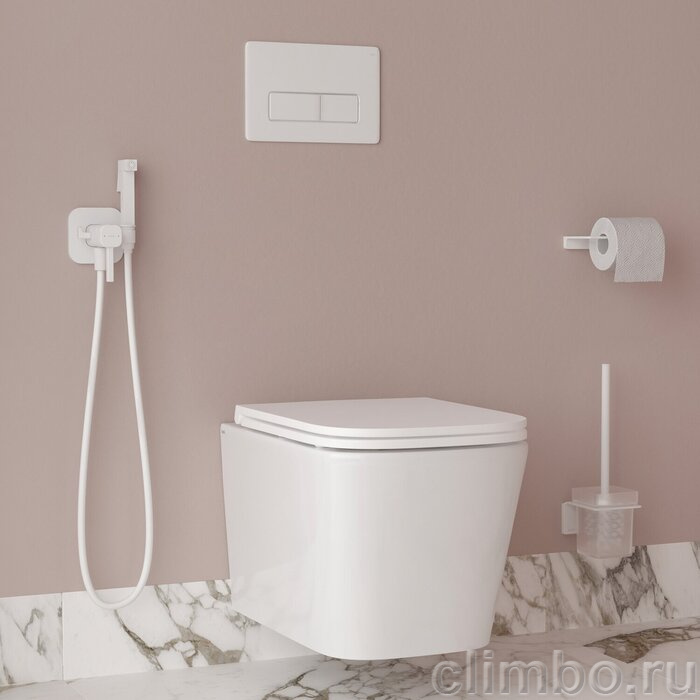 Встраиваемый смеситель с гигиеническим душем, белый матовый, Аксес (Axes), IDDIS, 006WTS0i08 — фото, детали конструкции