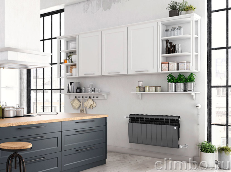 Радиатор Royal Thermo BiLiner 350 /Noir Sable - 10 секц. — фото товара