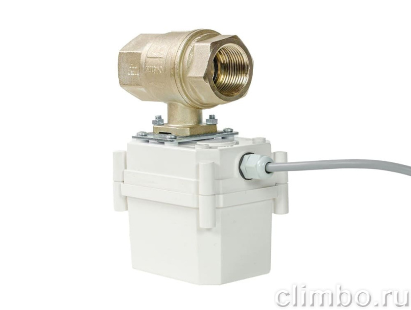 Кран с электроприводом PROFESSIONAL 12V BONOMI 1” — фото товара