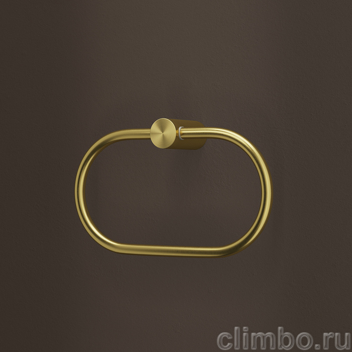 Полотенцедержатель-кольцо, нержавеющая сталь, Дюна (Duna), золото матовое, IDDIS, DUNMGO0i51 — фото, детали конструкции
